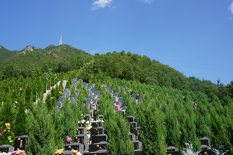 殡仪馆的殡葬用品如何定价（下半年价格会有调整吗）